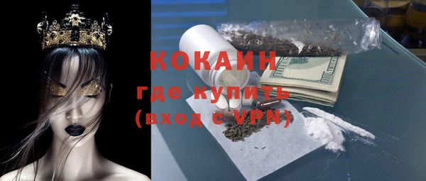 твердый Сатка