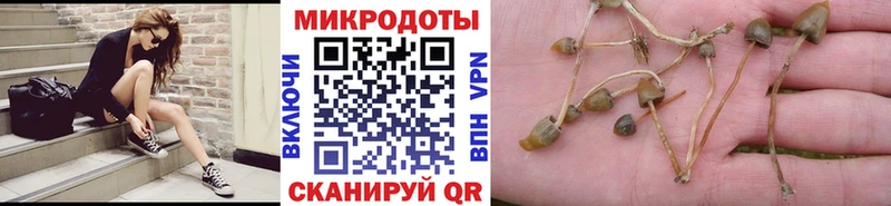 цены наркотик  Санкт-Петербург  Галлюциногенные грибы ЛСД 