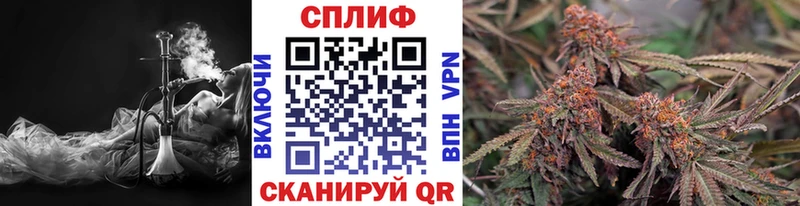 кракен зеркало Санкт-Петербург Бошки марихуана OG Kush
